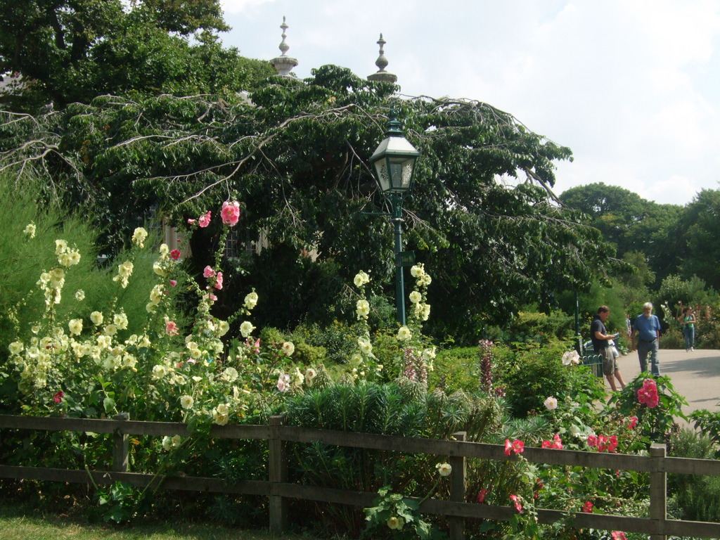 Royal Pavillion Gardens