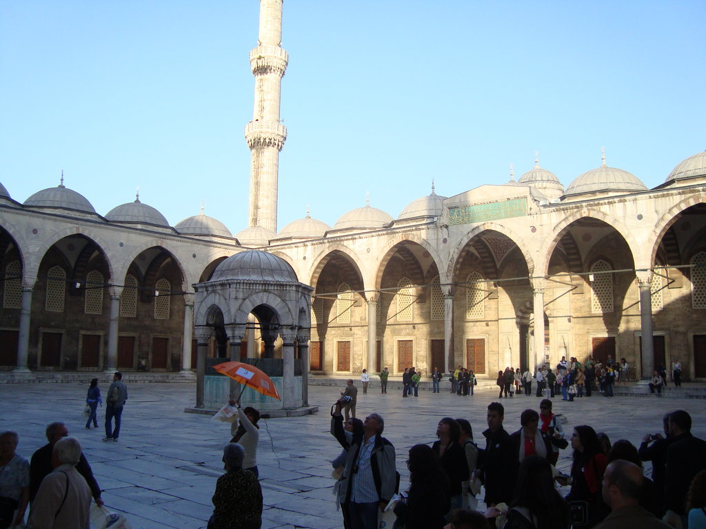 Zdjęcie bez tytułu