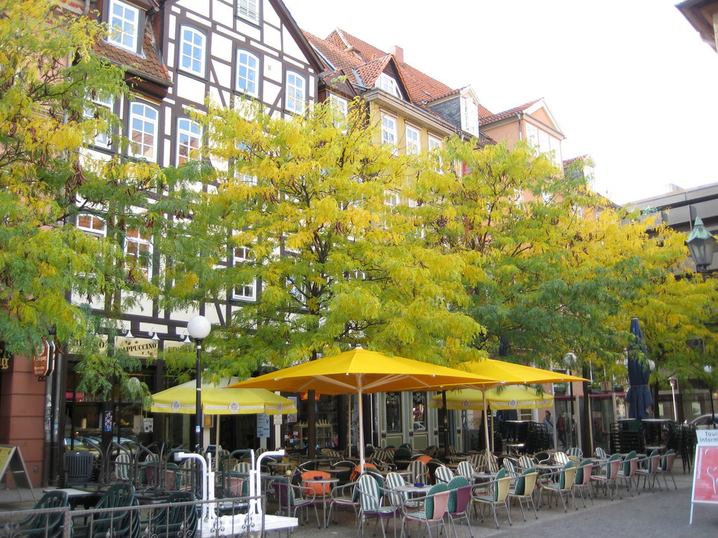 Zdjęcie bez tytułu