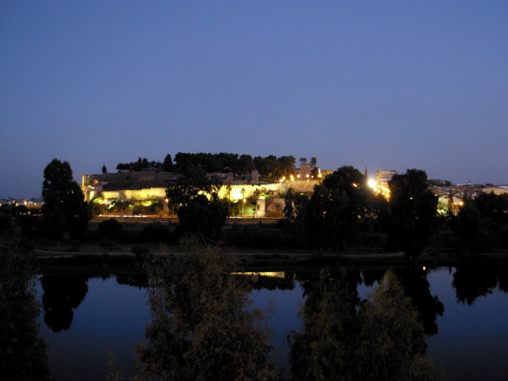 Alcazaba Vista Nocturna