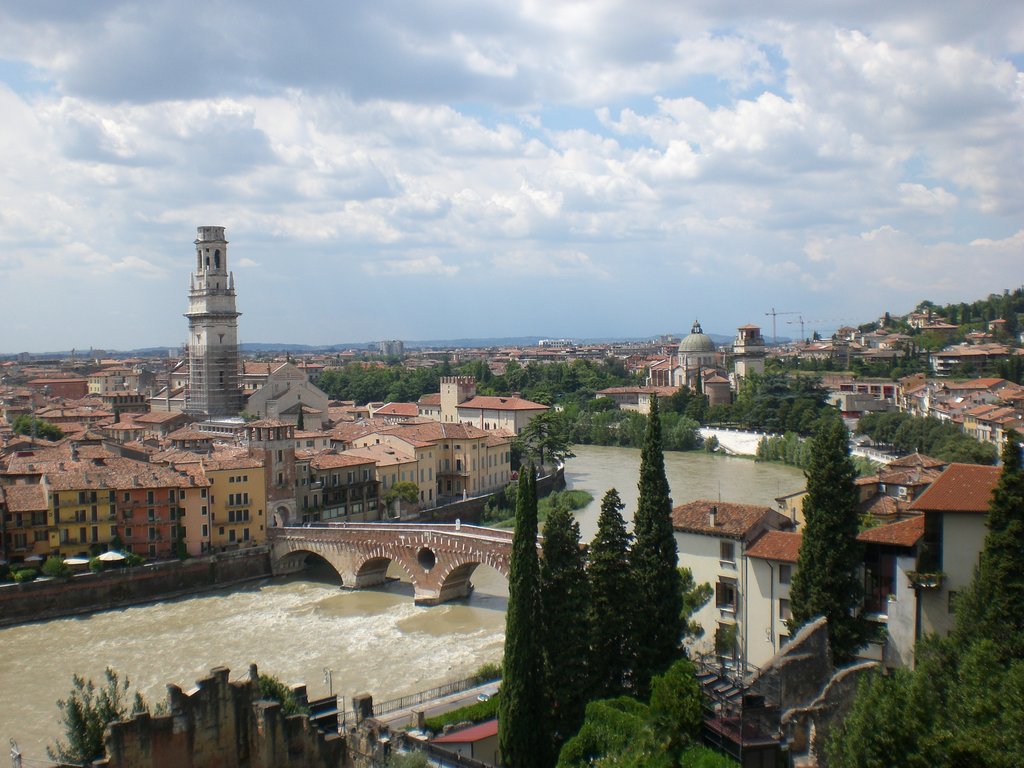 Zdjęcie bez tytułu