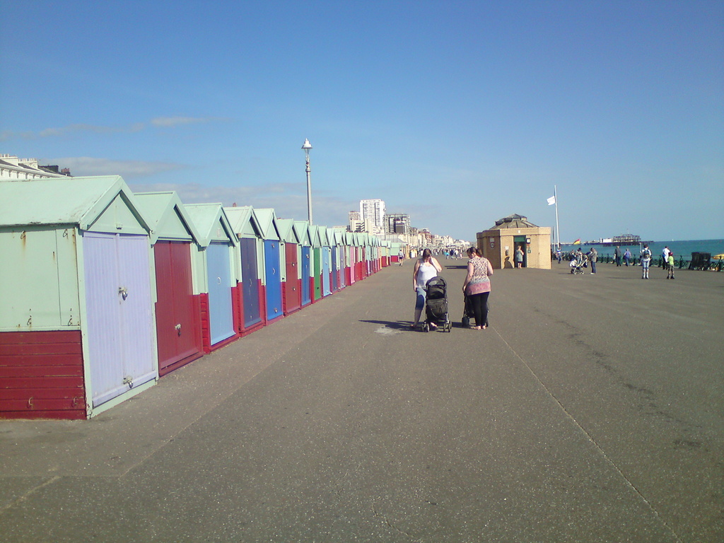 Zdjęcie bez tytułu