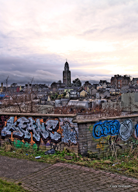 Zdjęcie bez tytułu