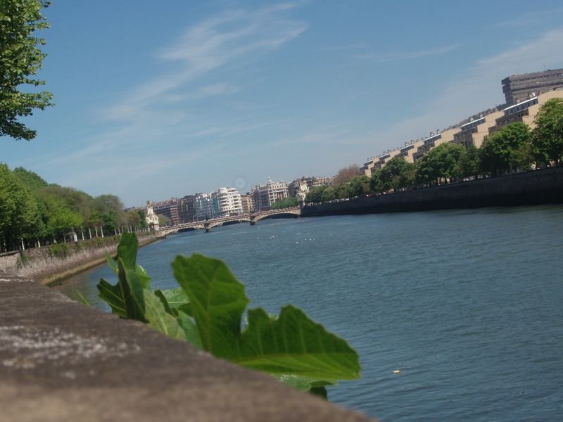 El río de la city: Urumea