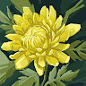 user_photo