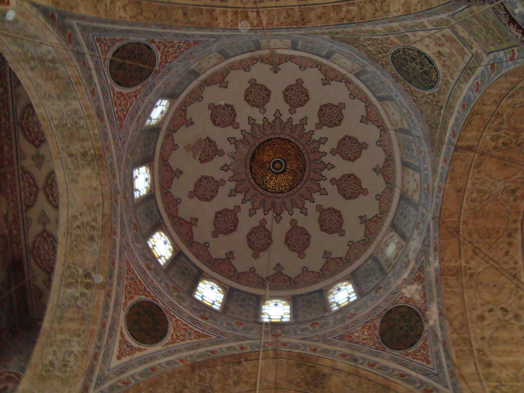 Zdjęcie bez tytułu