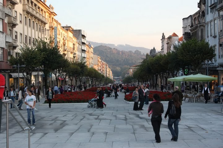 Zdjęcie bez tytułu