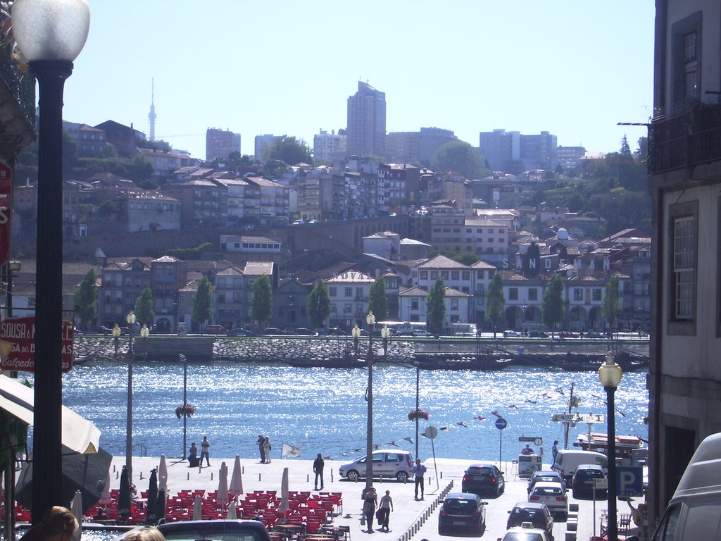 Zdjęcie bez tytułu