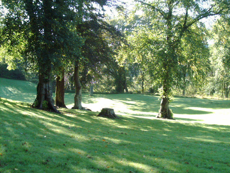 Una pequeña muestra del campus de Garthdee