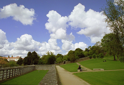 Zdjęcie bez tytułu