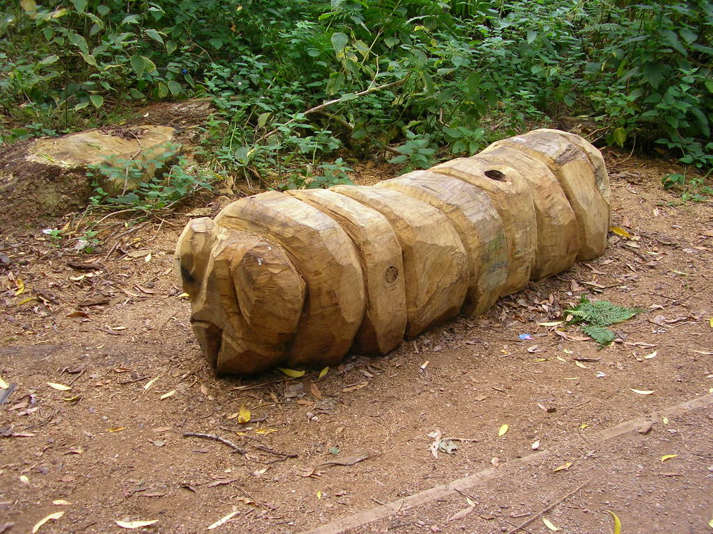 earthworm of the Moseley Bog