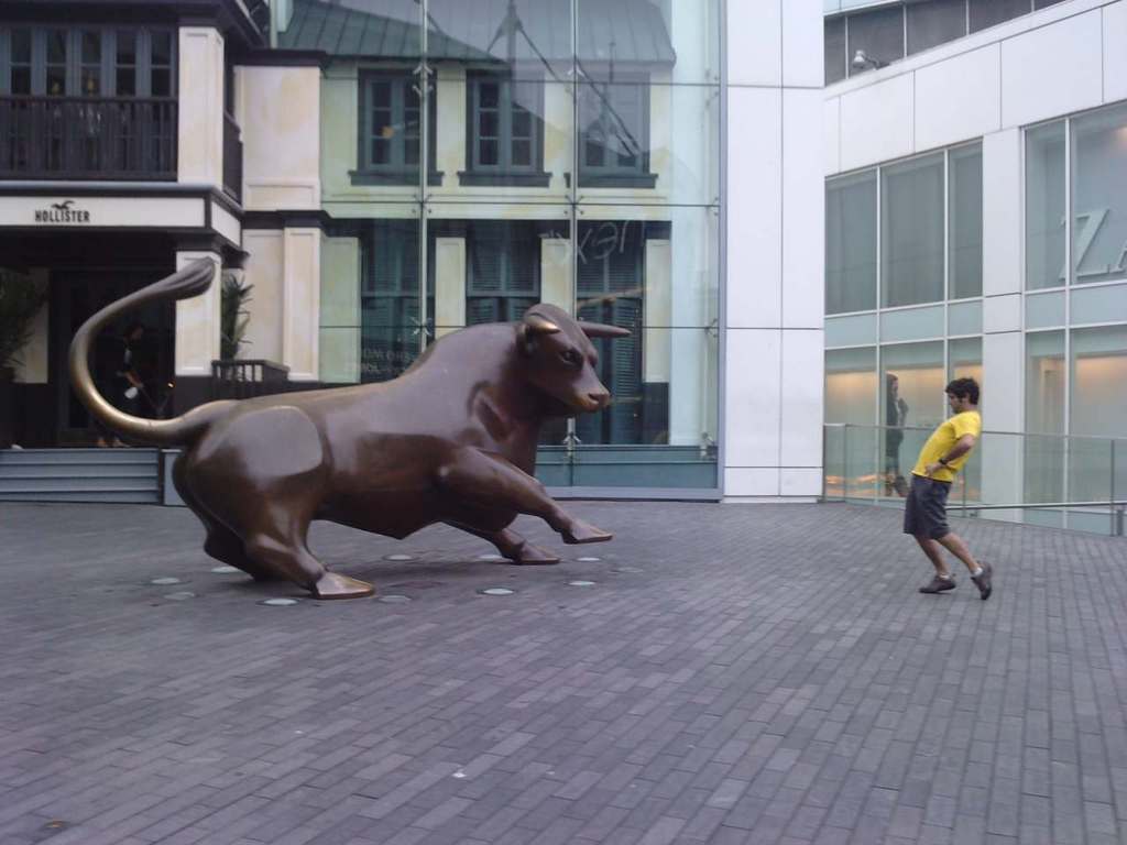 The Bull in the Bullring