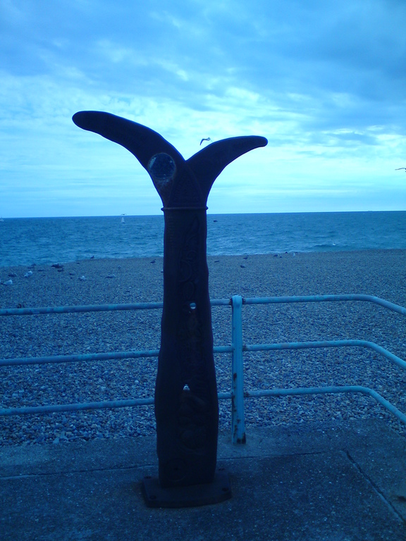 Zdjęcie bez tytułu