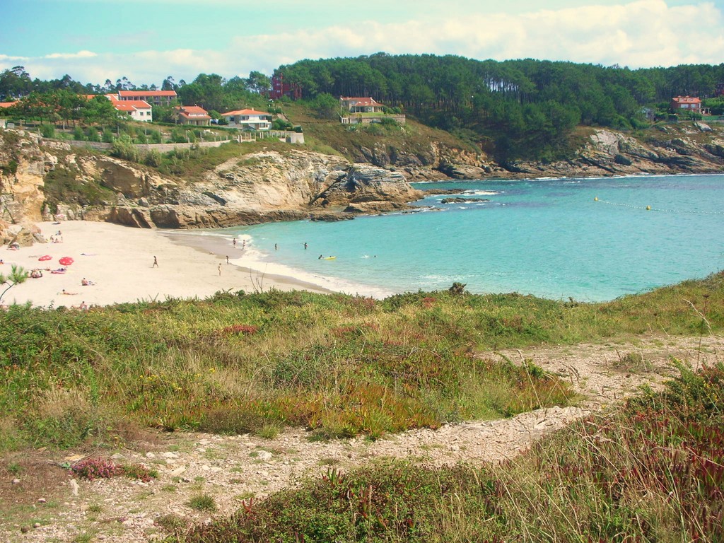 Sanxenxo - Paxariñas