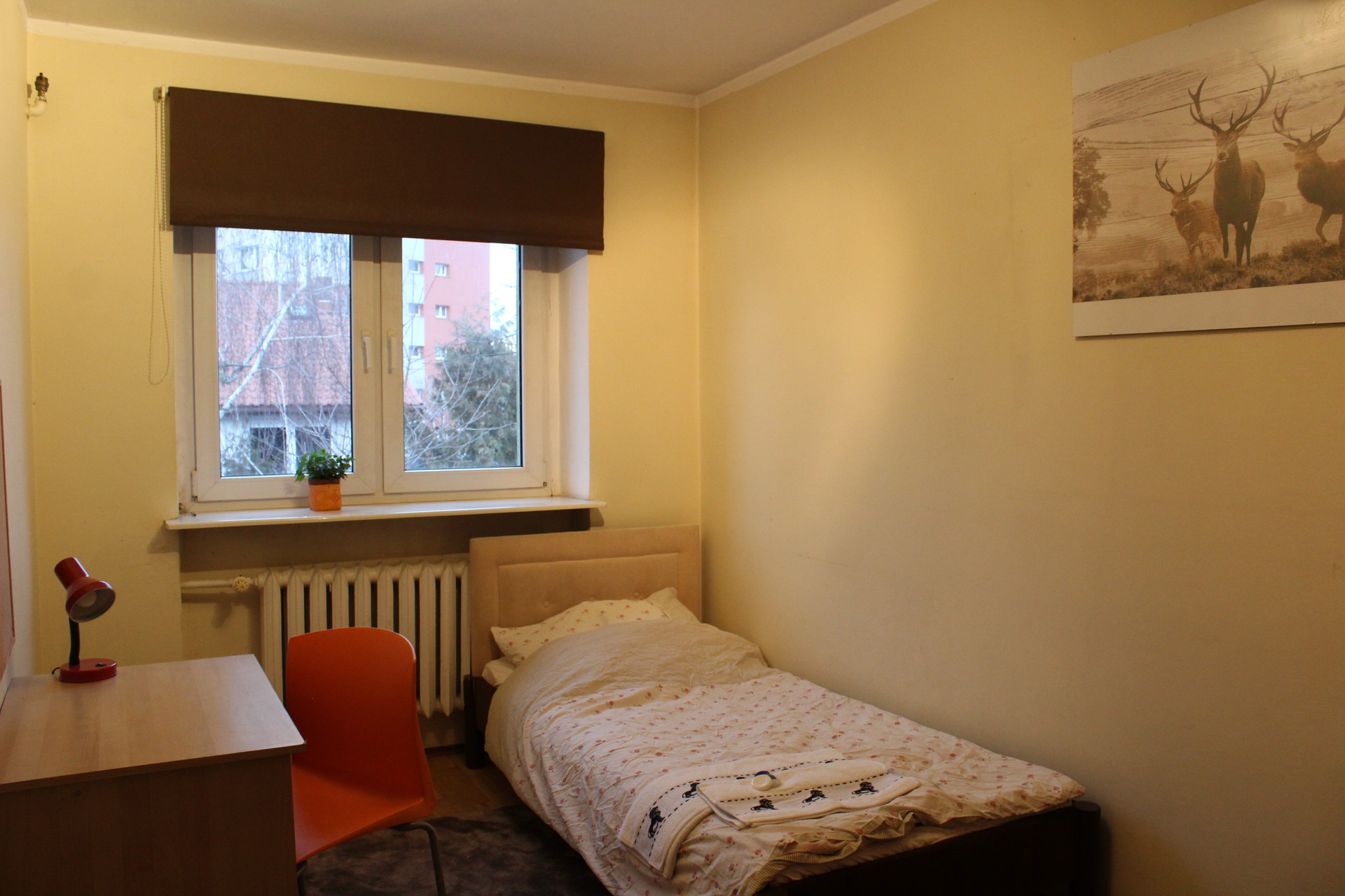 Sunny and cosy apartment 15 min in central Pozna Room 