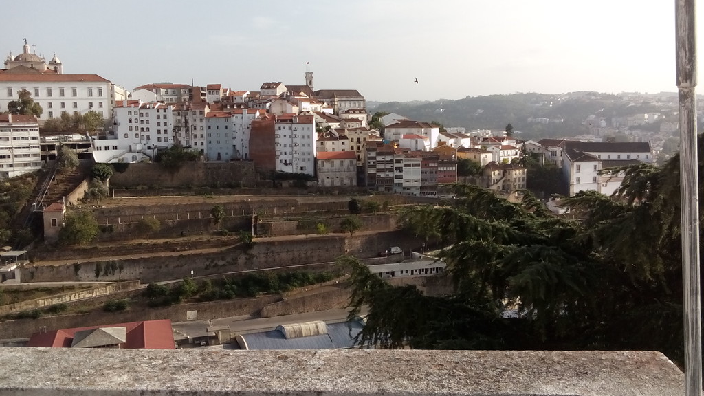 Affordable single bedroom near Museu da Ciência da Universidade de Coimbra