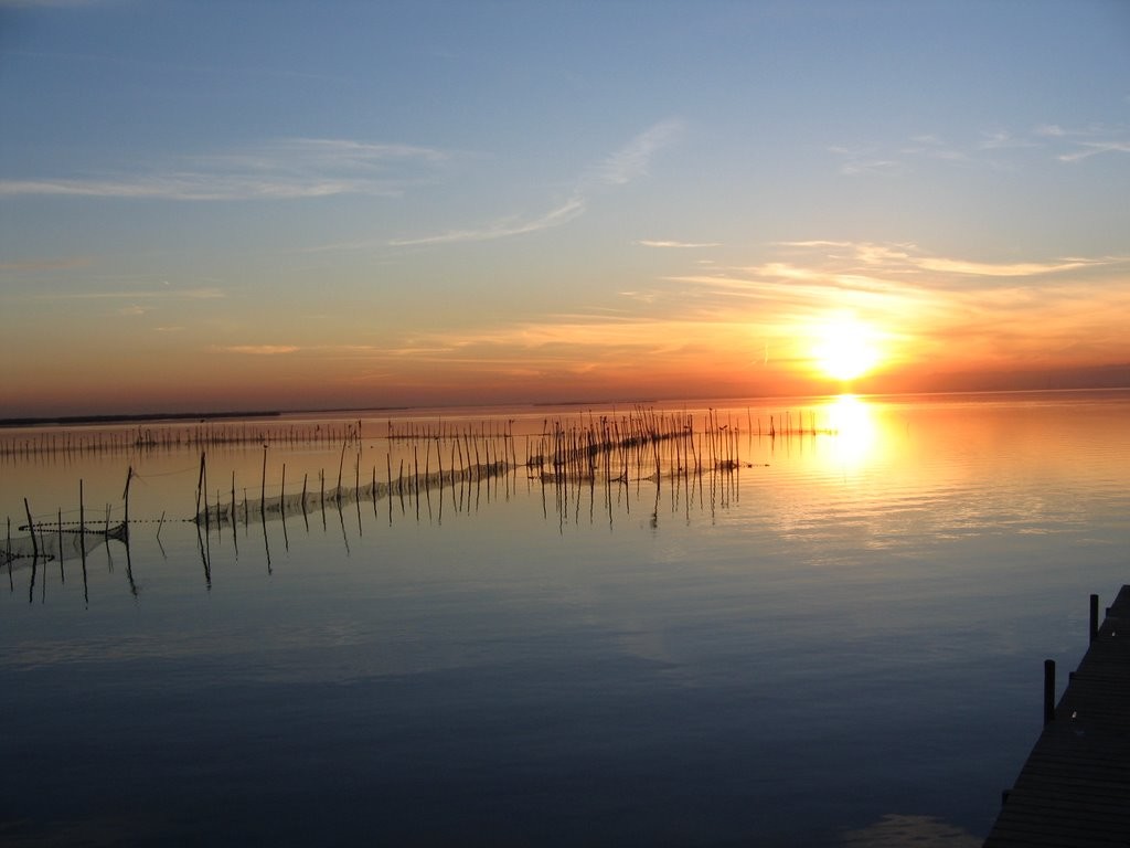 Albufera