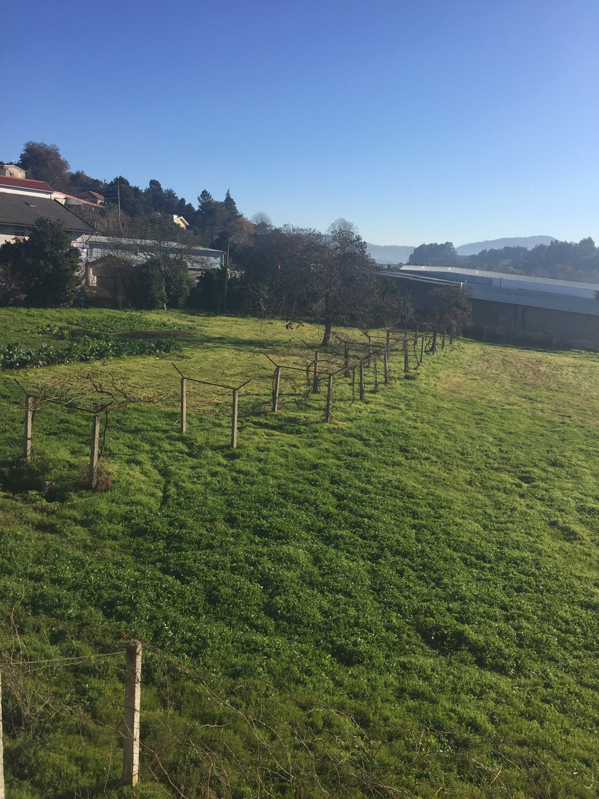 Aluga-se quarto em Braga /Rent a room in Braga