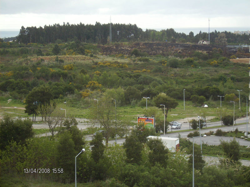 Amazing room #1 Gaia with terrace in 2 room's flat