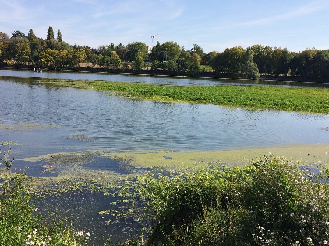 Angers river 