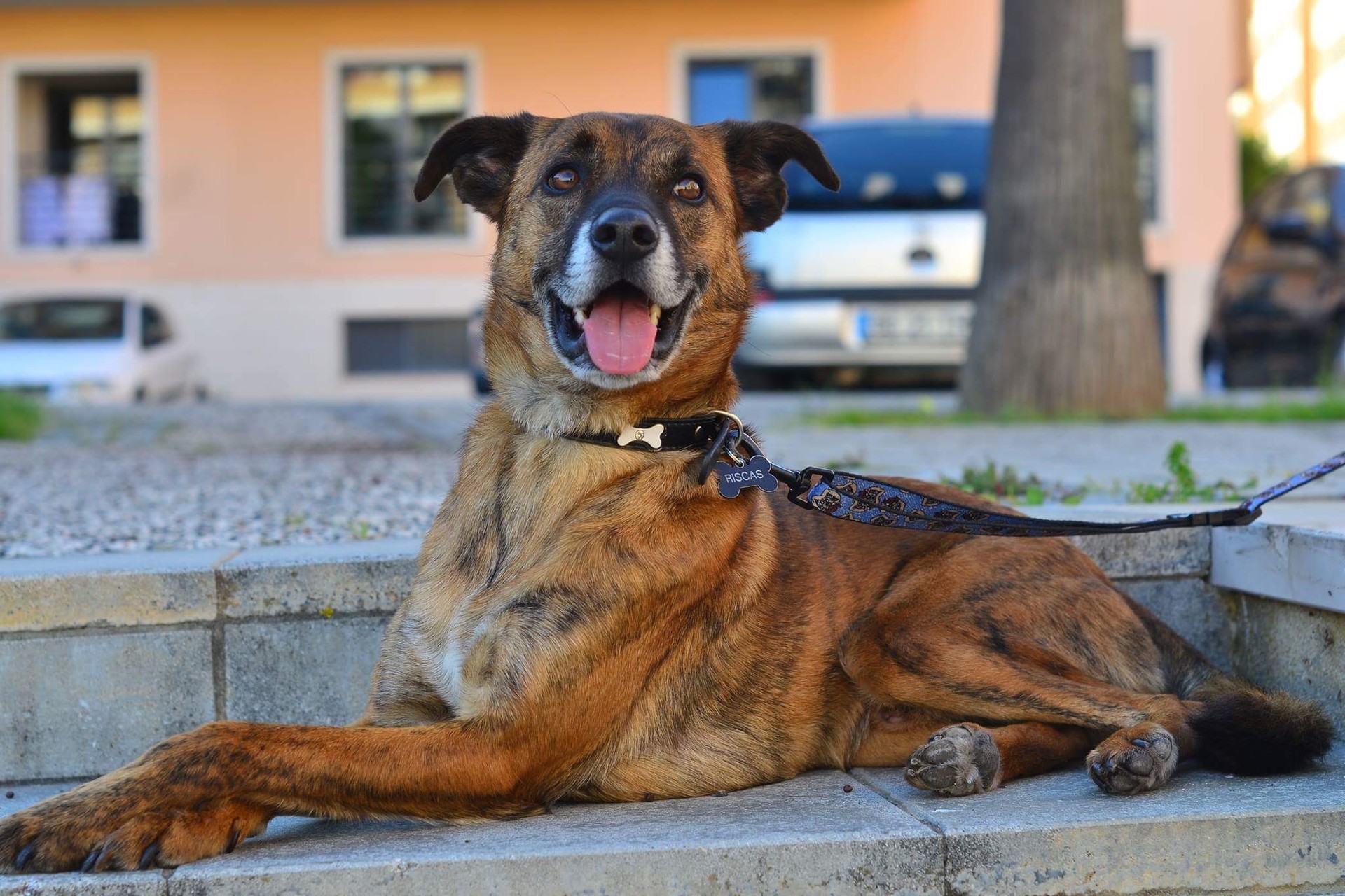 Quarto em apartamento na Amadora