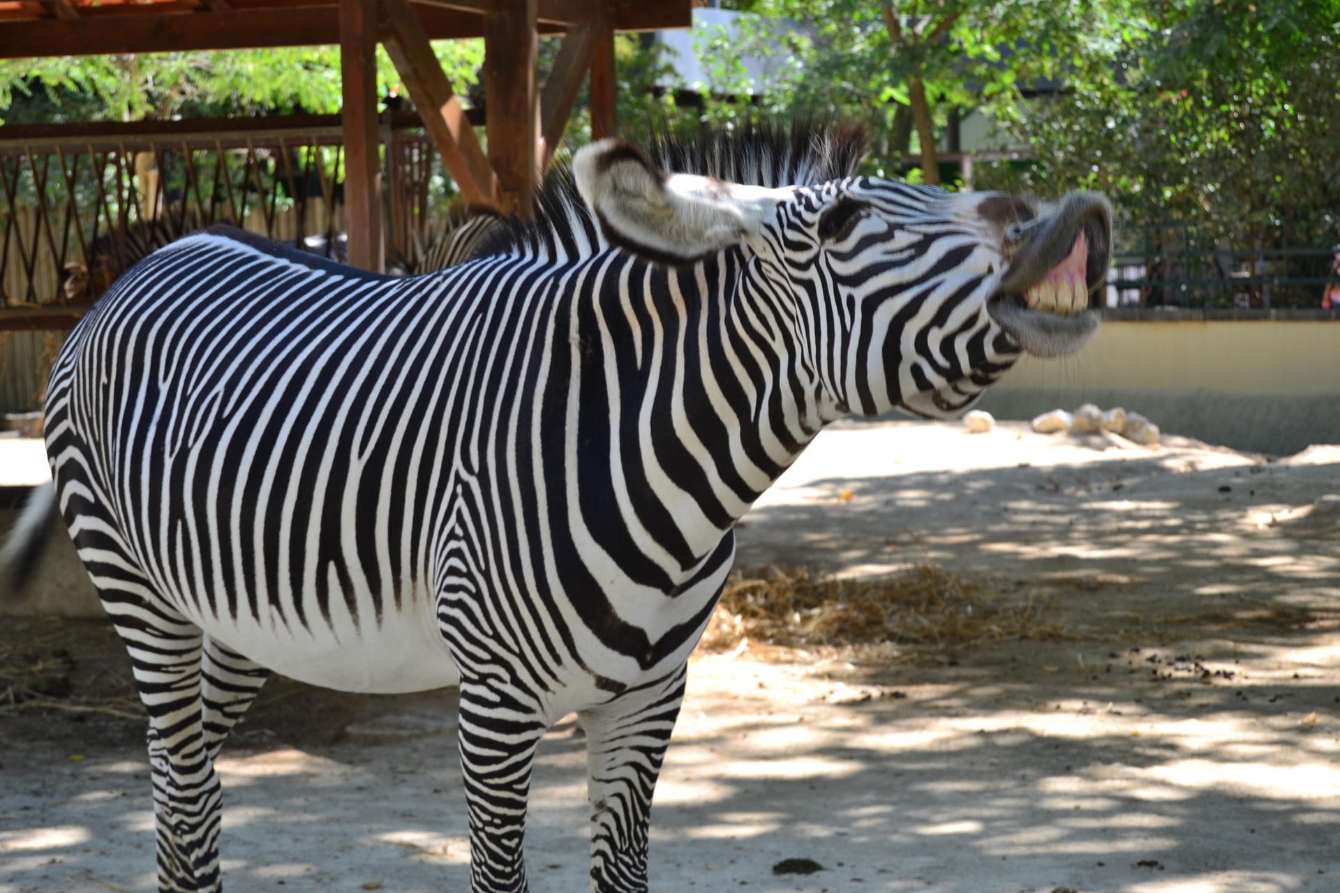 Zoológico