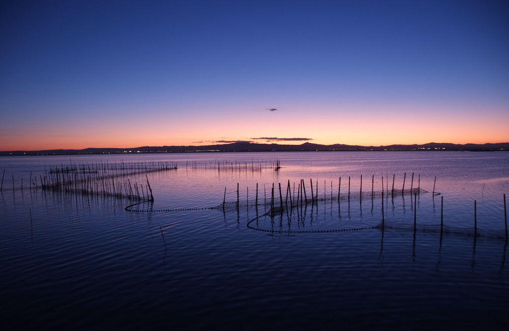 atardecer en la albufera