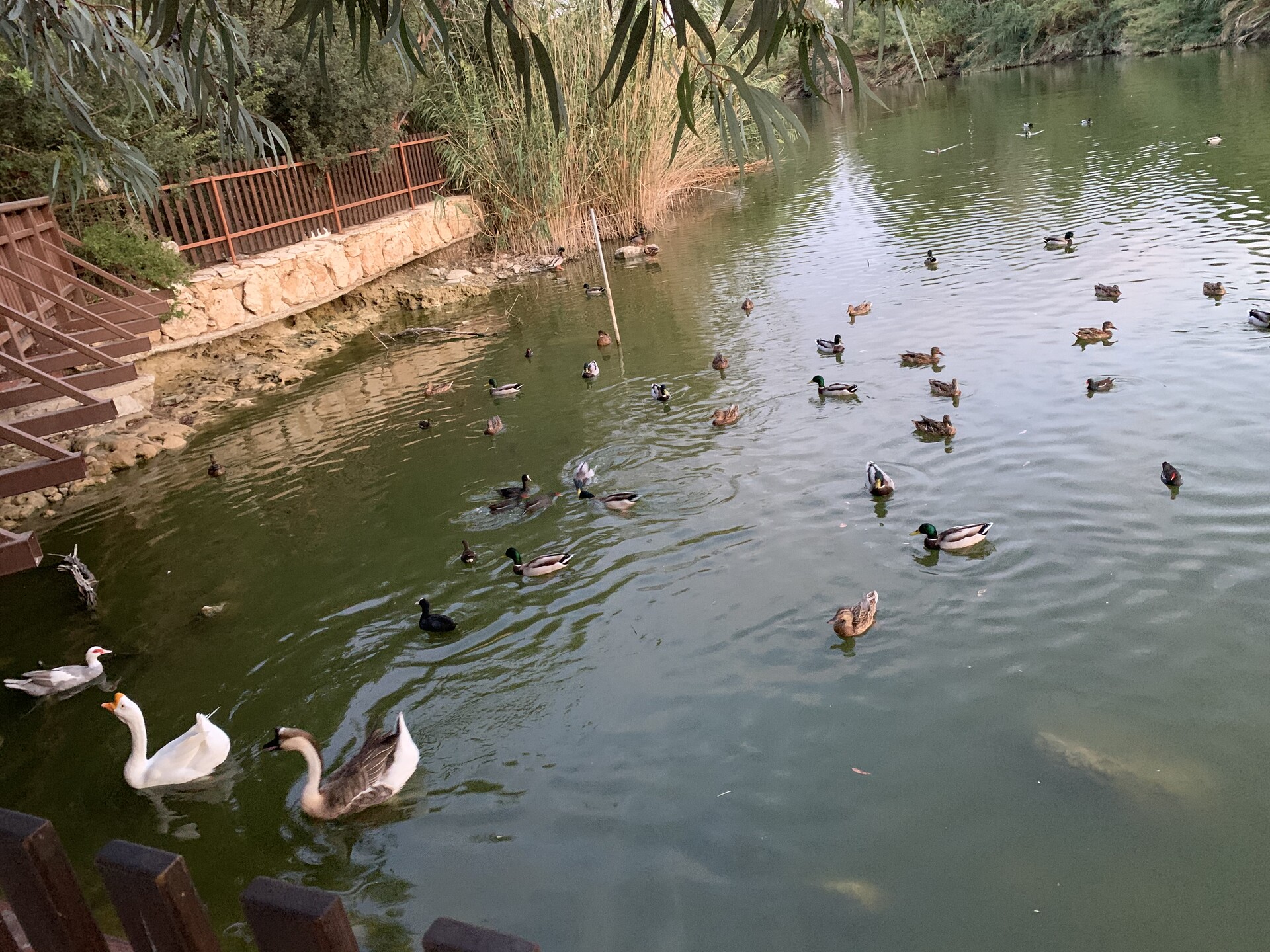 Athalassa park, Nicosia