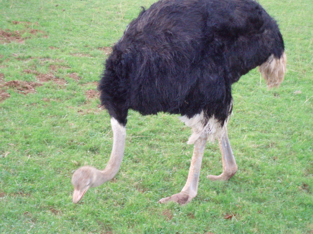 Parque natural Cabárceno