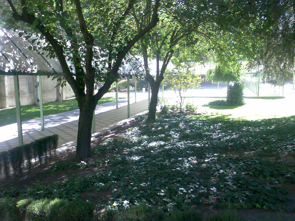 Campus Universitario "Las Lagunillas"