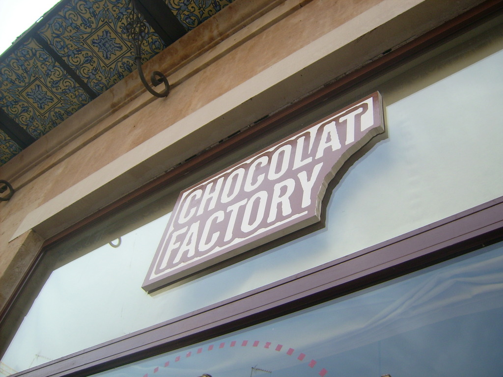 Zdjęcie bez tytułu