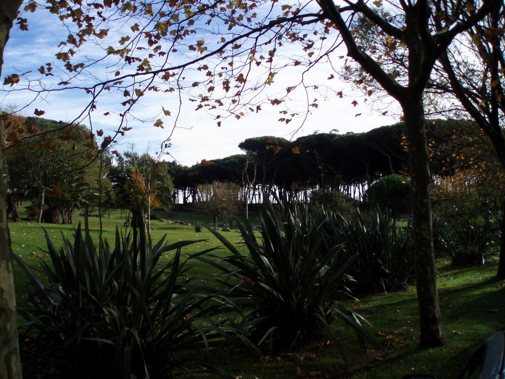 Parque de la Magdalena