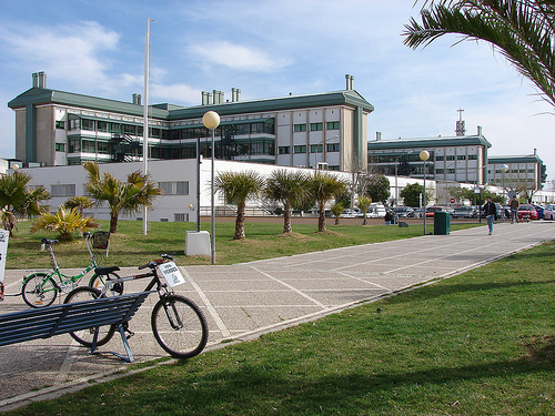Universidad de Cordoba