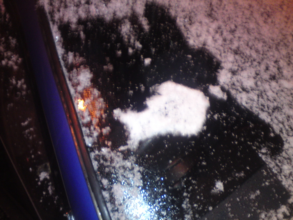 Zdjęcie bez tytułu