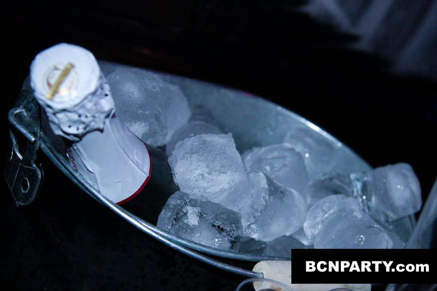 Beer Pong in Ovella Negra