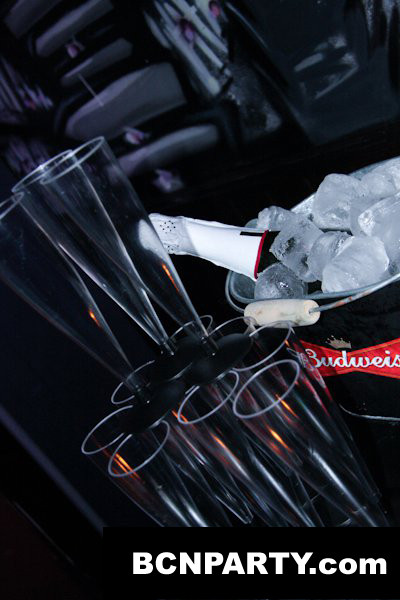 Beer Pong in Ovella Negra