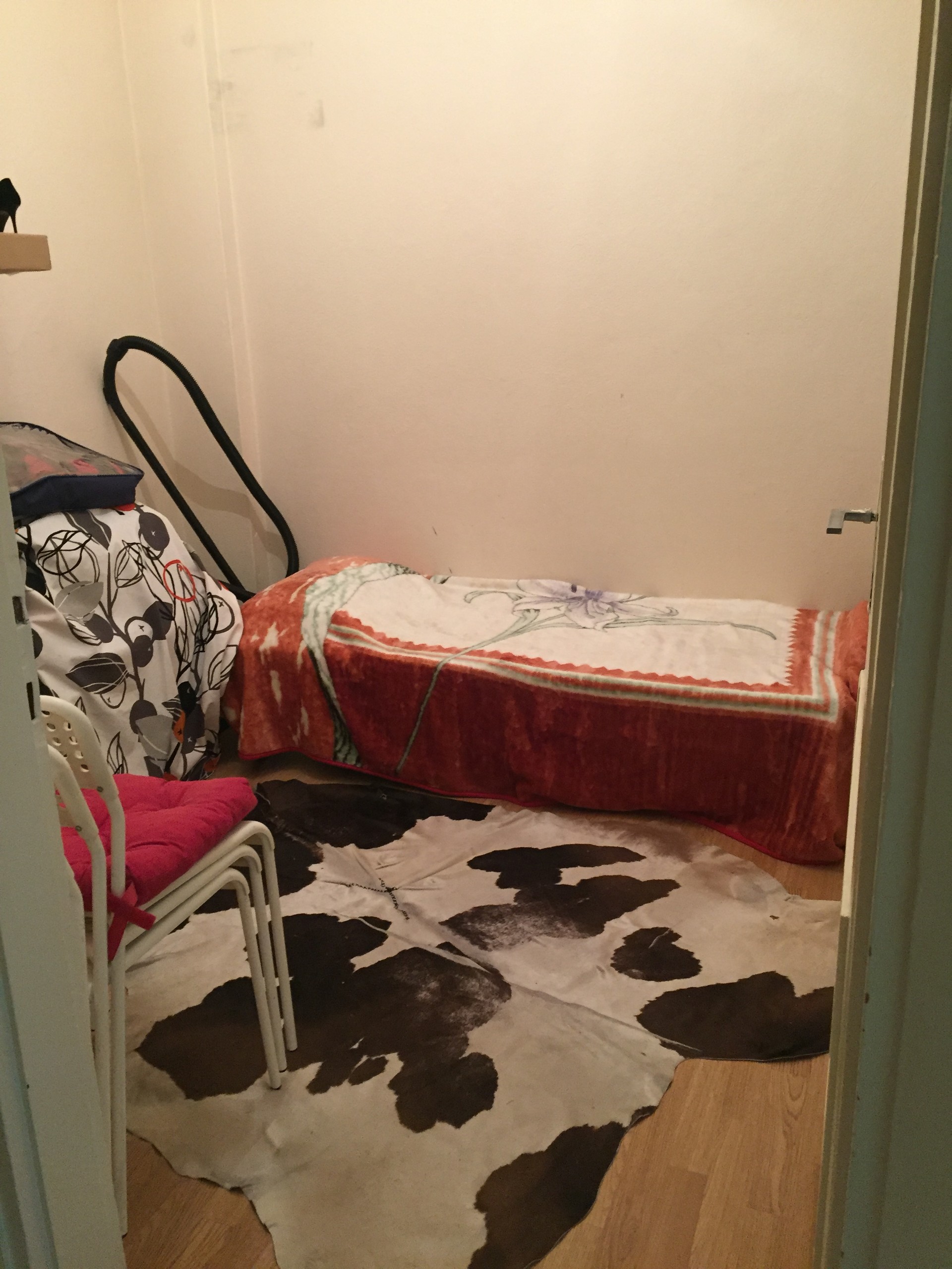 Beşiktaş kadın ev arkadaşı Istanbul Kiralık evler