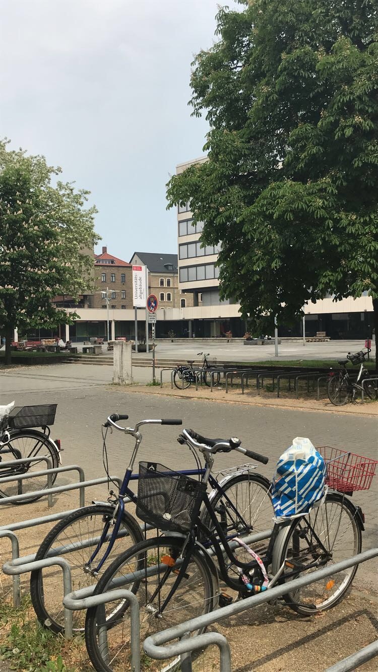 Bibliothek und Campus