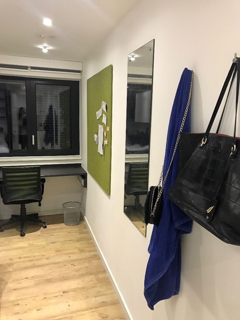 Big Ben View Room at Urbanest Westminster Room for rent London