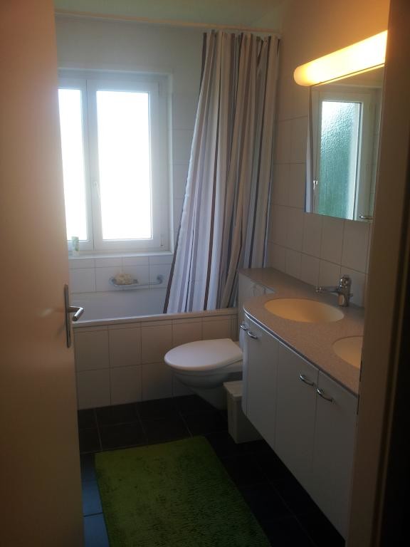 Brighter One Bedroom Apartment available for rent in Zurich Room for