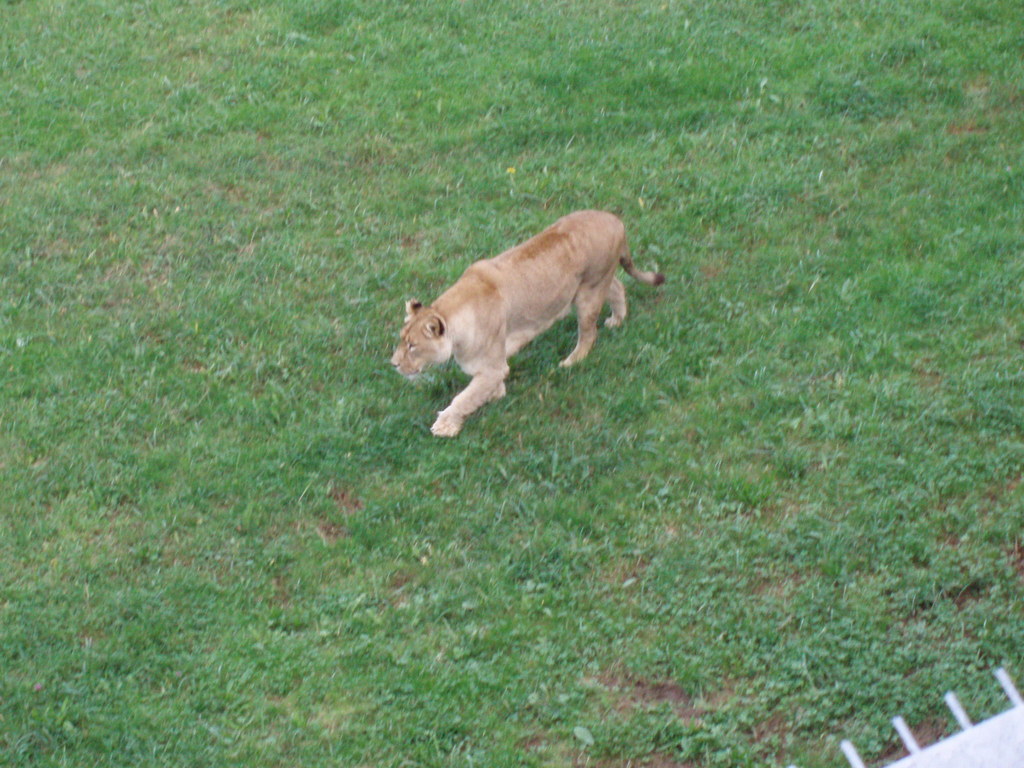 Parque natural de Cabárceno