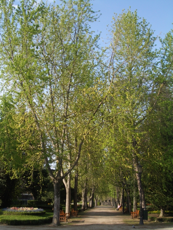 Jardines de la taconera