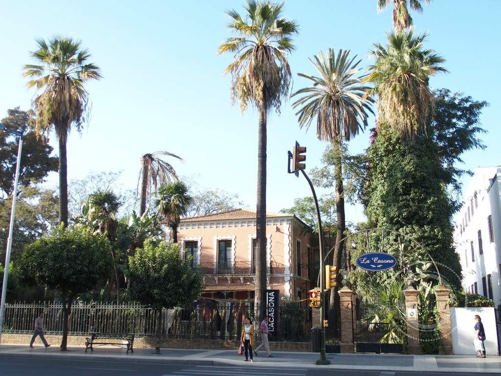 Calle Alameda Sundheim