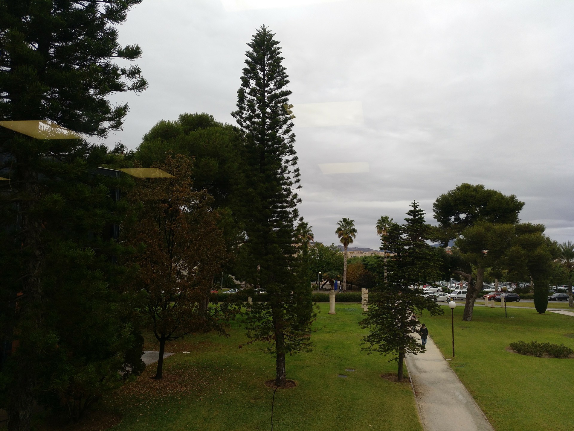 Campus - Facultad Derecho