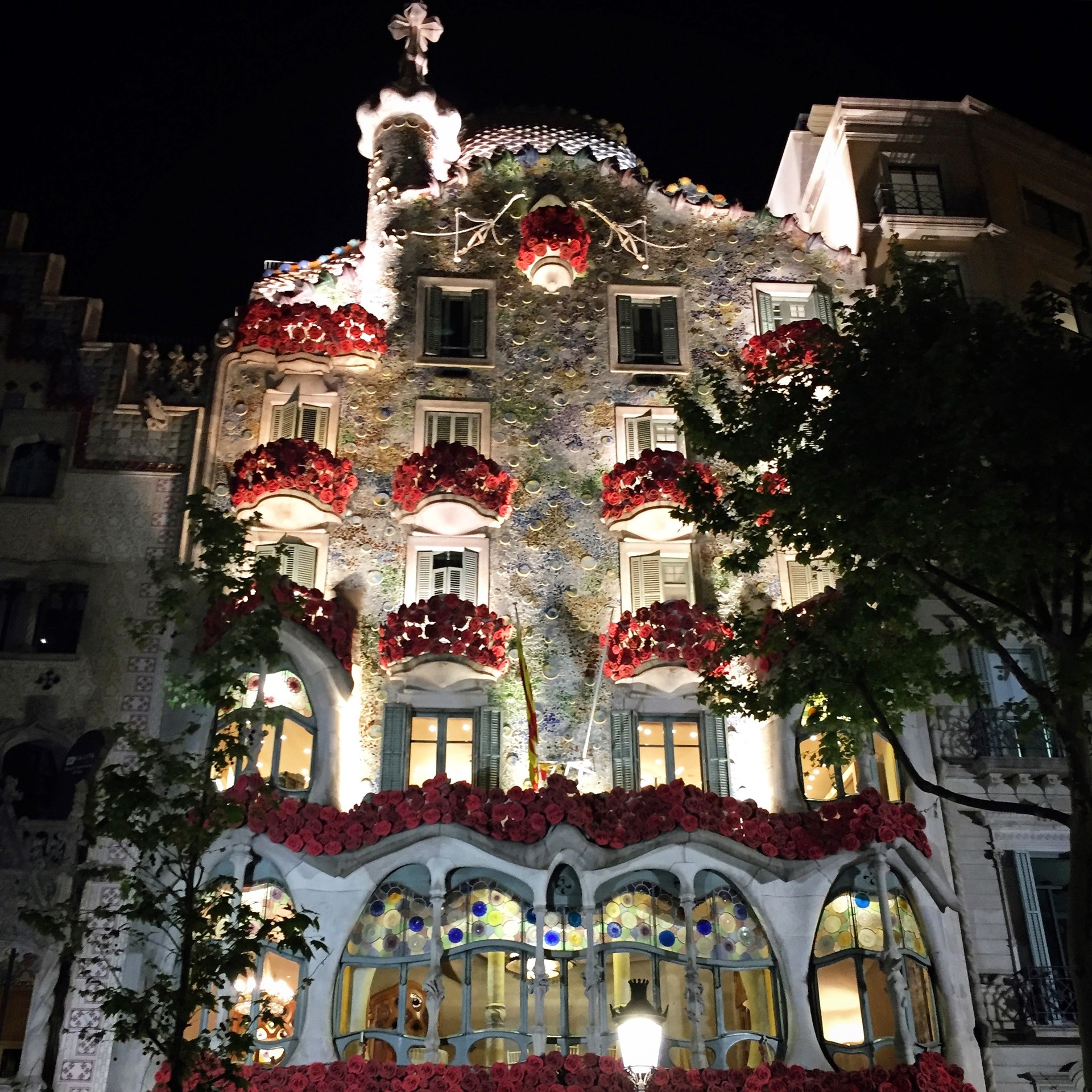 Casa Batloo with roses