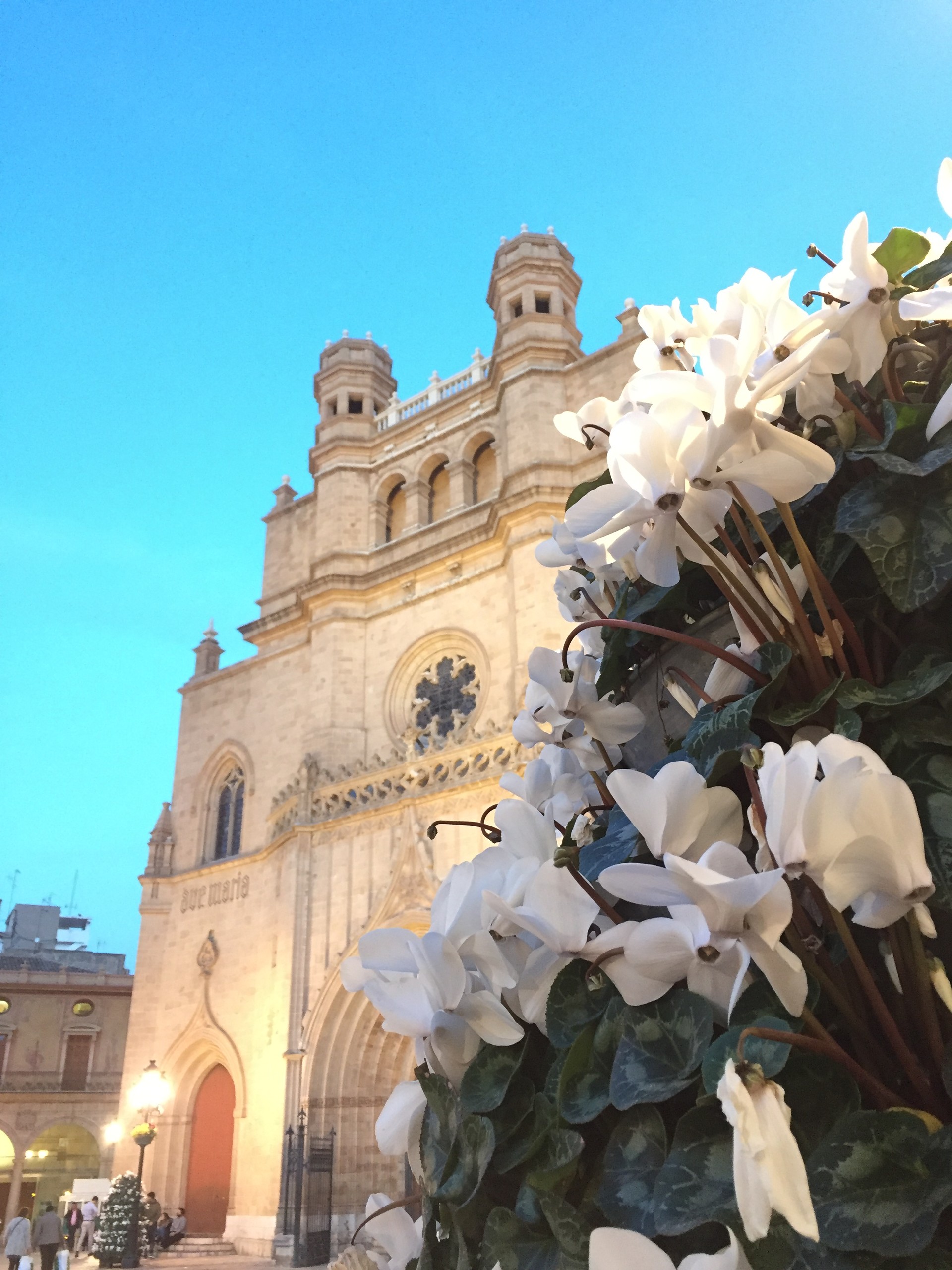 Catedral