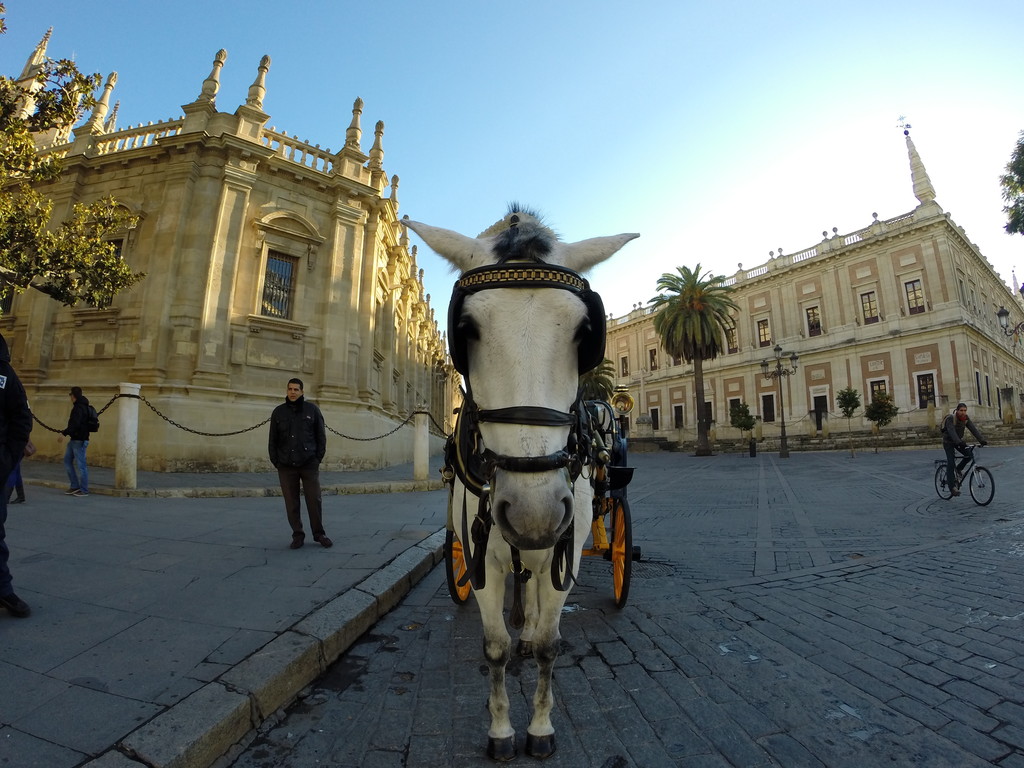 Catedral de Sevilla