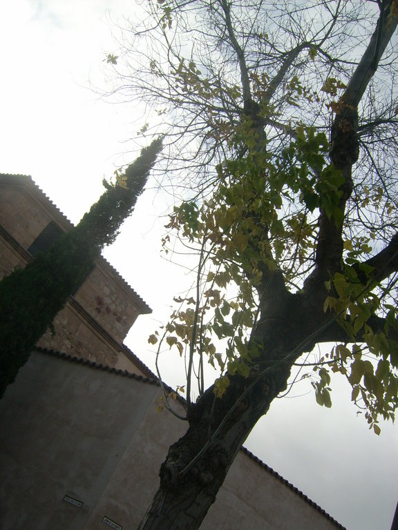 Zdjęcie bez tytułu