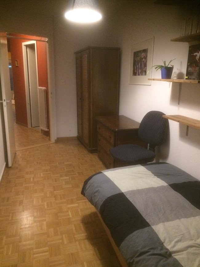 Room For Rent In 1 Bedroom Apartment In Geneva