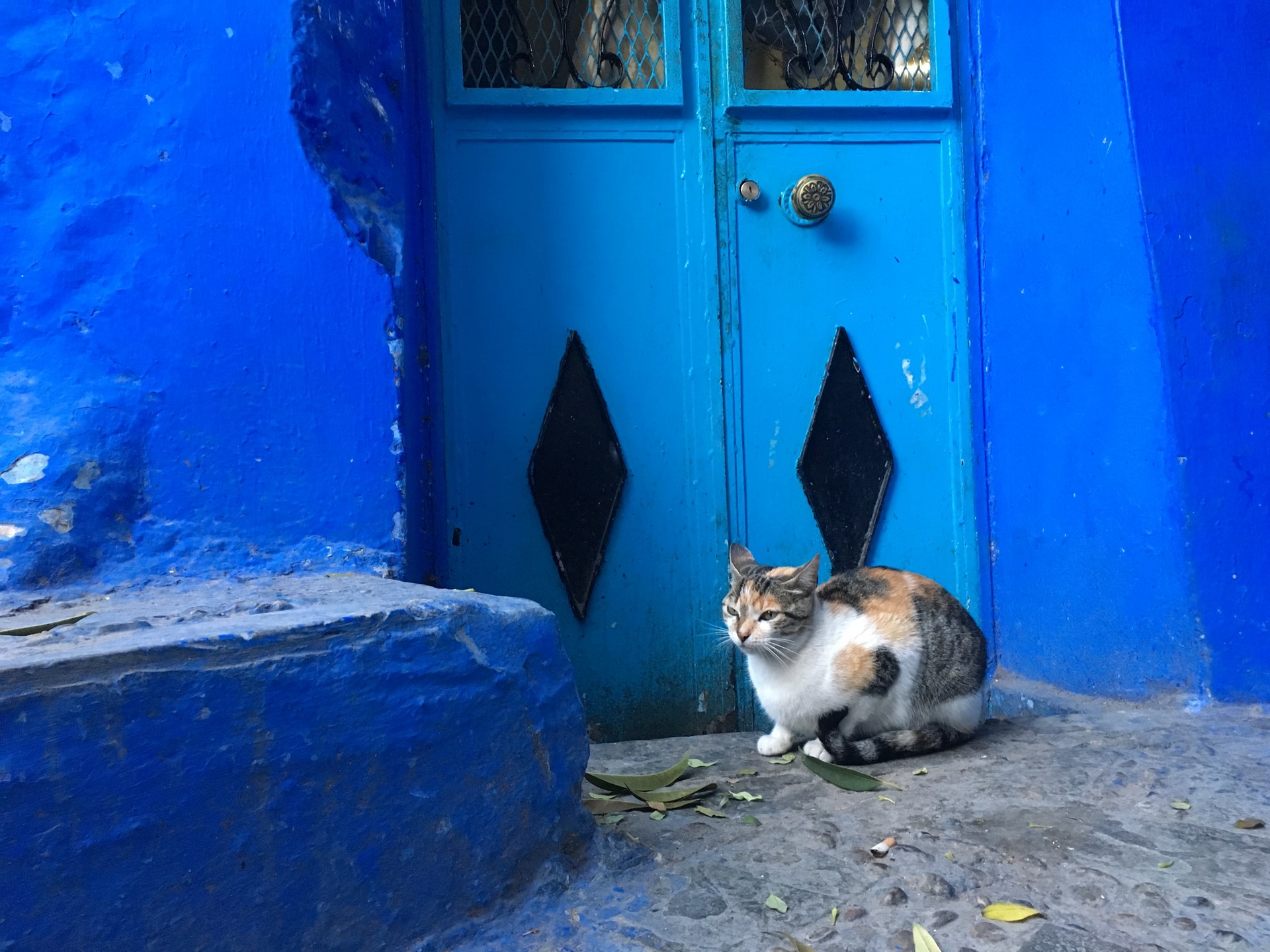 Chefchaouen marokańskie niebieskie miasto 